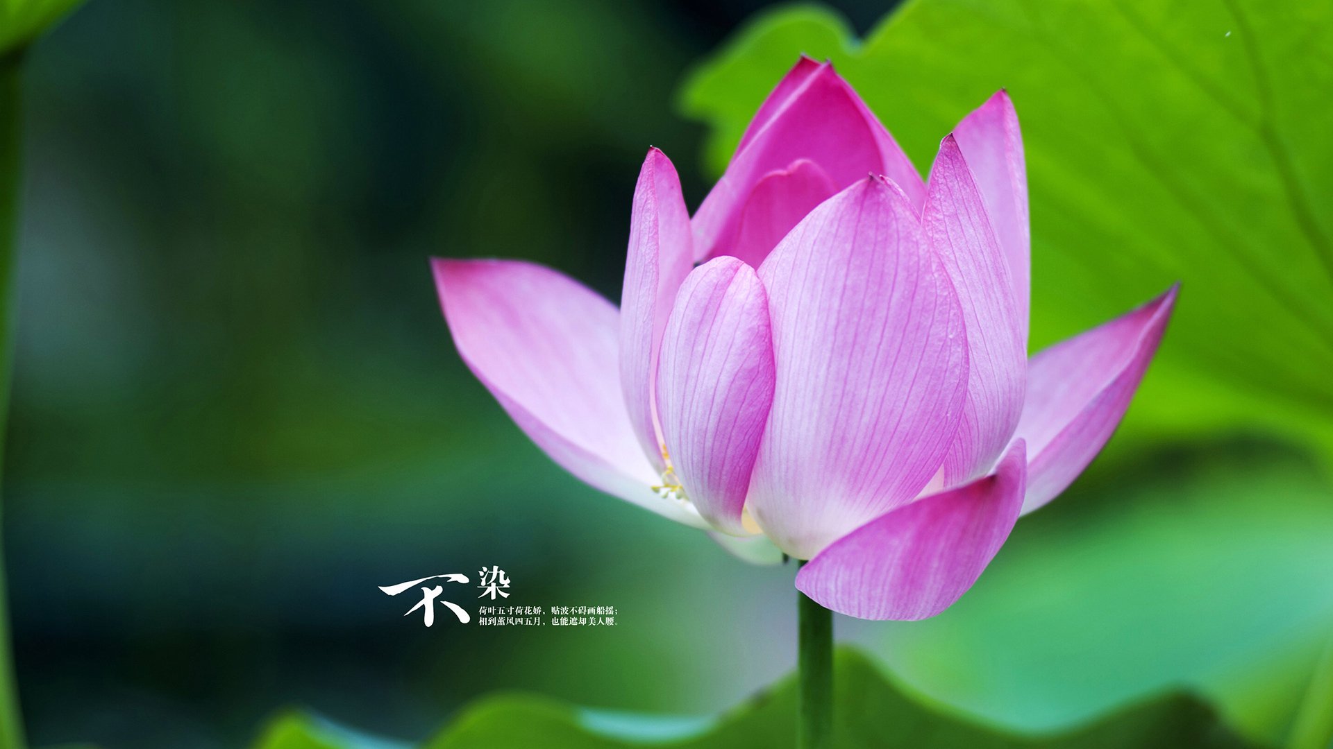 kaiyun 开云体育-“足球+文化+旅游”多产业深度融合成为行业亮点，助推地方经济发展