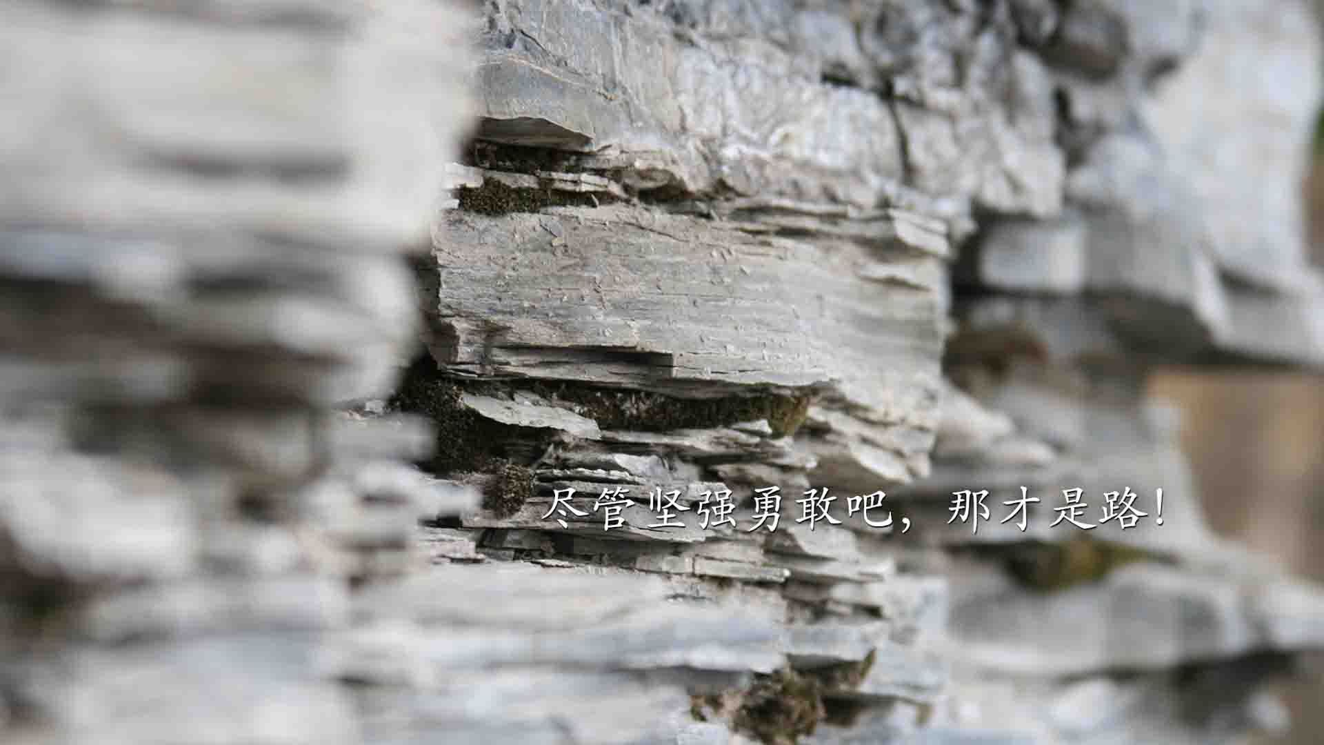 “足球+科技”创新成果在行业内掀起“智慧革命”，足球的创新