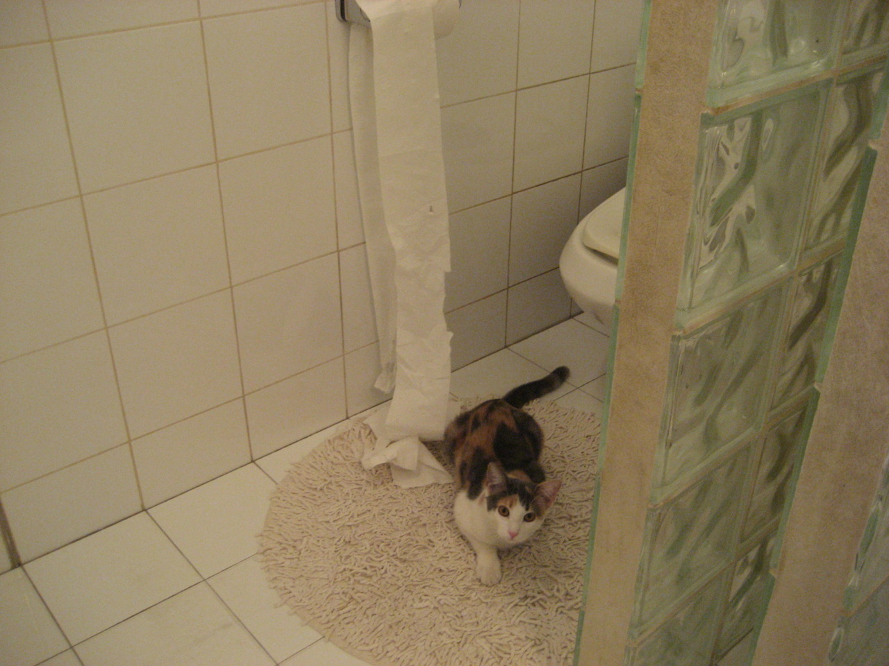 【特殊赛事】纪念赛和特别活动的精彩片段,比赛纪念品发什么好